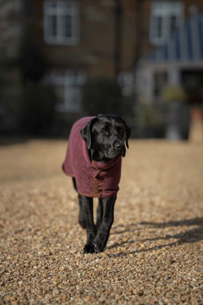 Ruff & Tumble Dog Drying Coat - Country Collection - SUMMER SPECIAL OFFER - UPTO 20% OFF