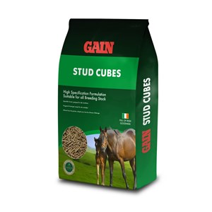 Gain Stud Cubes  - 25 kg     