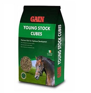 Gain Youngstock Cubes  - 25 kg     