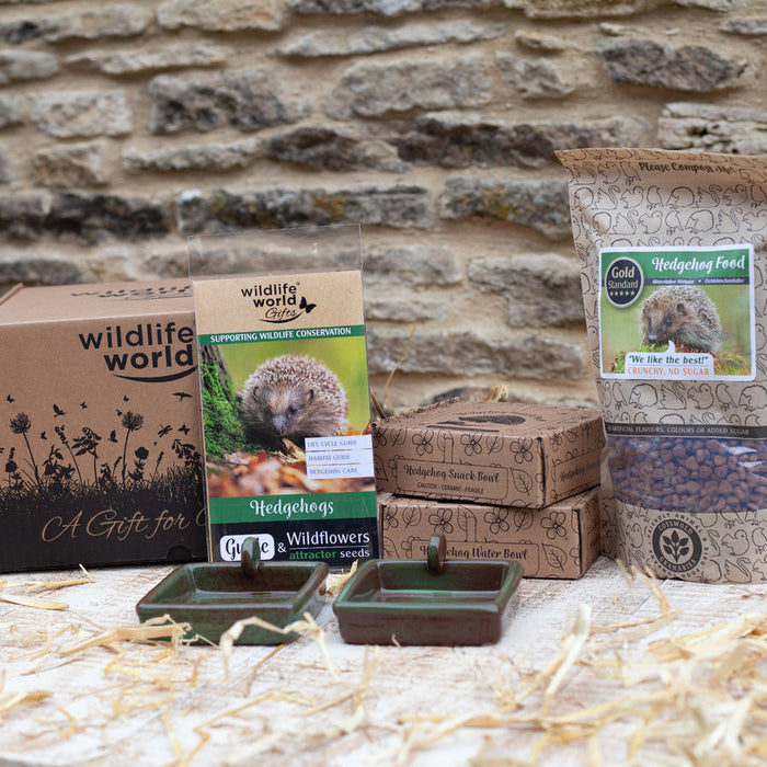 For the love of Hedgehogs Gift Pack (featuring Food & Snack Bowls)