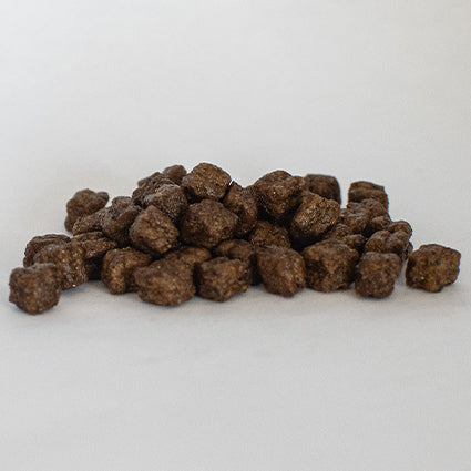 Skinners Field & Trial Puppy -Various Sizes - MARCH SPECIAL OFFER - 8% OFF