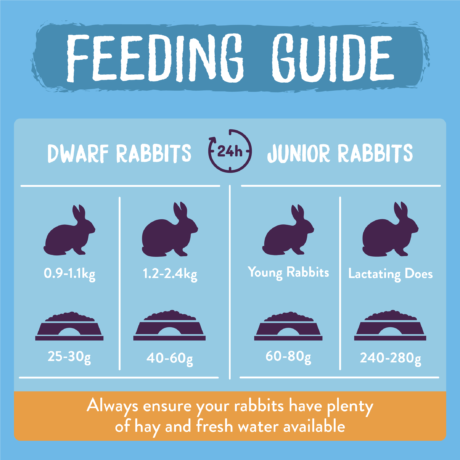 Burgess Excel Junior & Dwarf Rabbit Nuggets with Mint - 10kg - NOVEMBER SPECIAL OFFER - 18% OFF