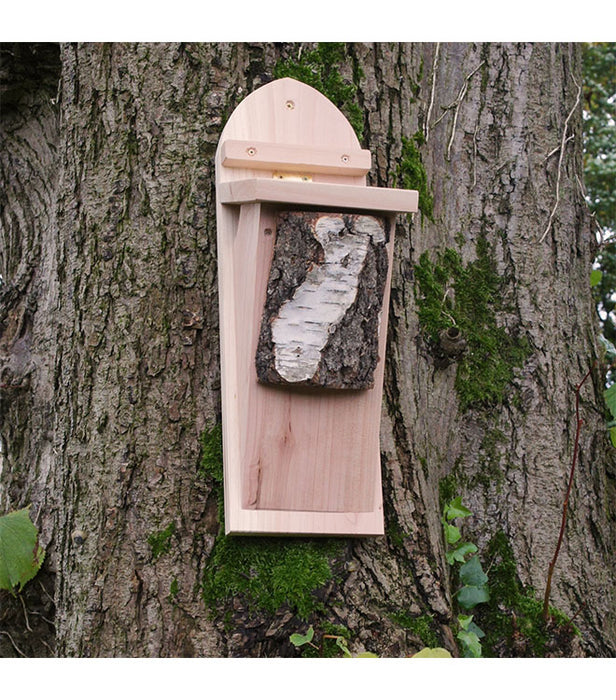 Tree Creeper Nest Box