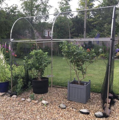 Domed Walk In Fruit/Vegetable Cage - 1.2m wide x 1.88m Height - Various Lengths and Netting