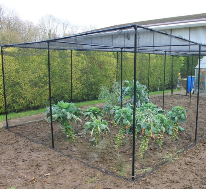 Premium Fruit Cage Height 1.9m - Black Soft Butterfly Netting - Various Sizes