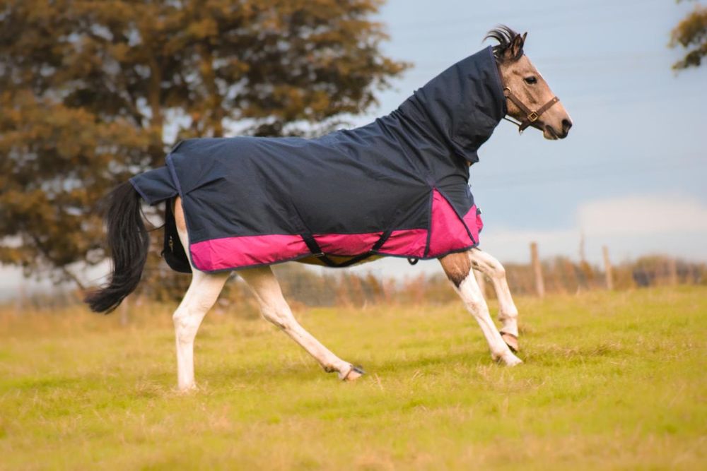 1200D Winter Turnout Horse Rugs 50g Filling COMBO Neck Navy/Raspberry 5'3-6'9