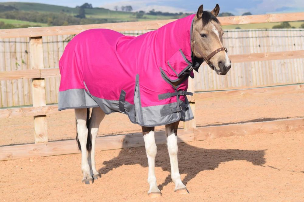 Outdoor Horse Turnout Durable Combo Neck Field 50g Rug Raspberry/Grey 5'3-6'9