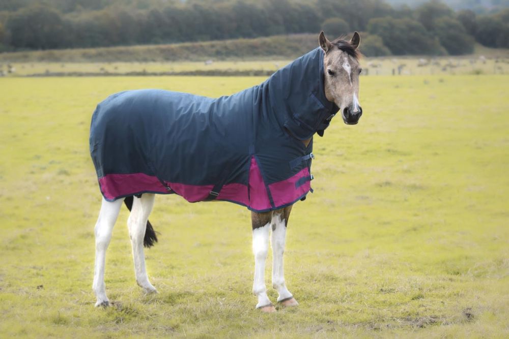 1200D Winter Turnout Horse Rugs 50g Filling COMBO Neck Navy/Raspberry 5'3-6'9