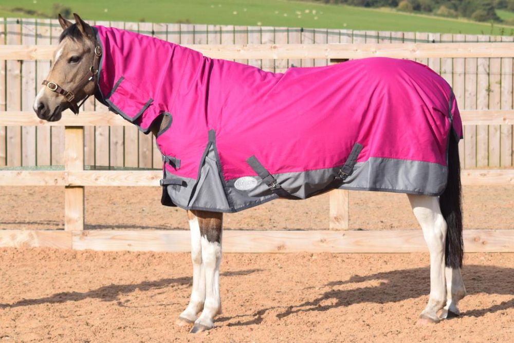 Outdoor Horse Turnout Durable Combo Neck Field 50g Rug Raspberry/Grey 5'3-6'9