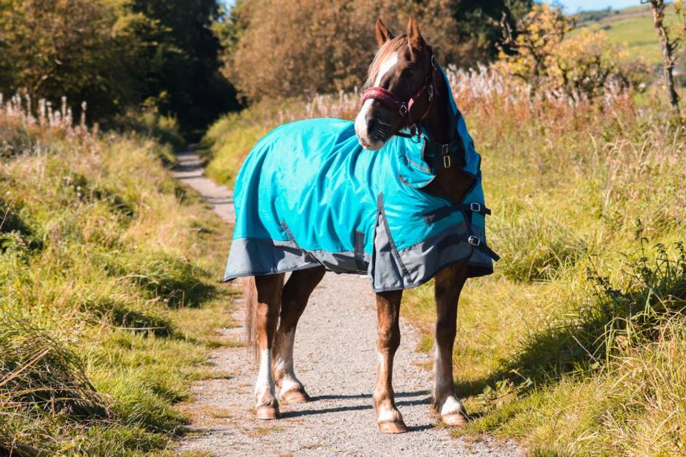 Outdoor Winter Turnout Horse Rugs 50g COMBO Full Neck Aqua/Grey 5'3-6'9