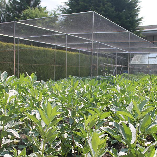 Large Vegetable Cage Height 1.9m - Green Soft Butterfly Netting - Various Sizes