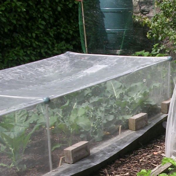 700mm Erected Height x 1.5m Width - Veggiemesh Insect Netting - Vaious Lengths