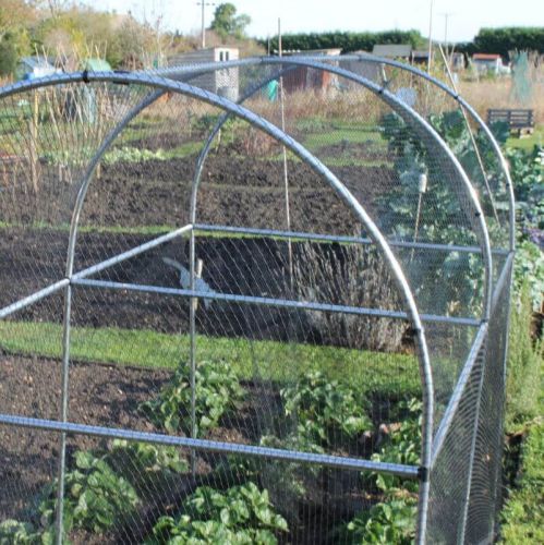 Domed Walk In Fruit/Vegetable Cage - 1.2m wide x 1.88m Height - Various Lengths and Netting